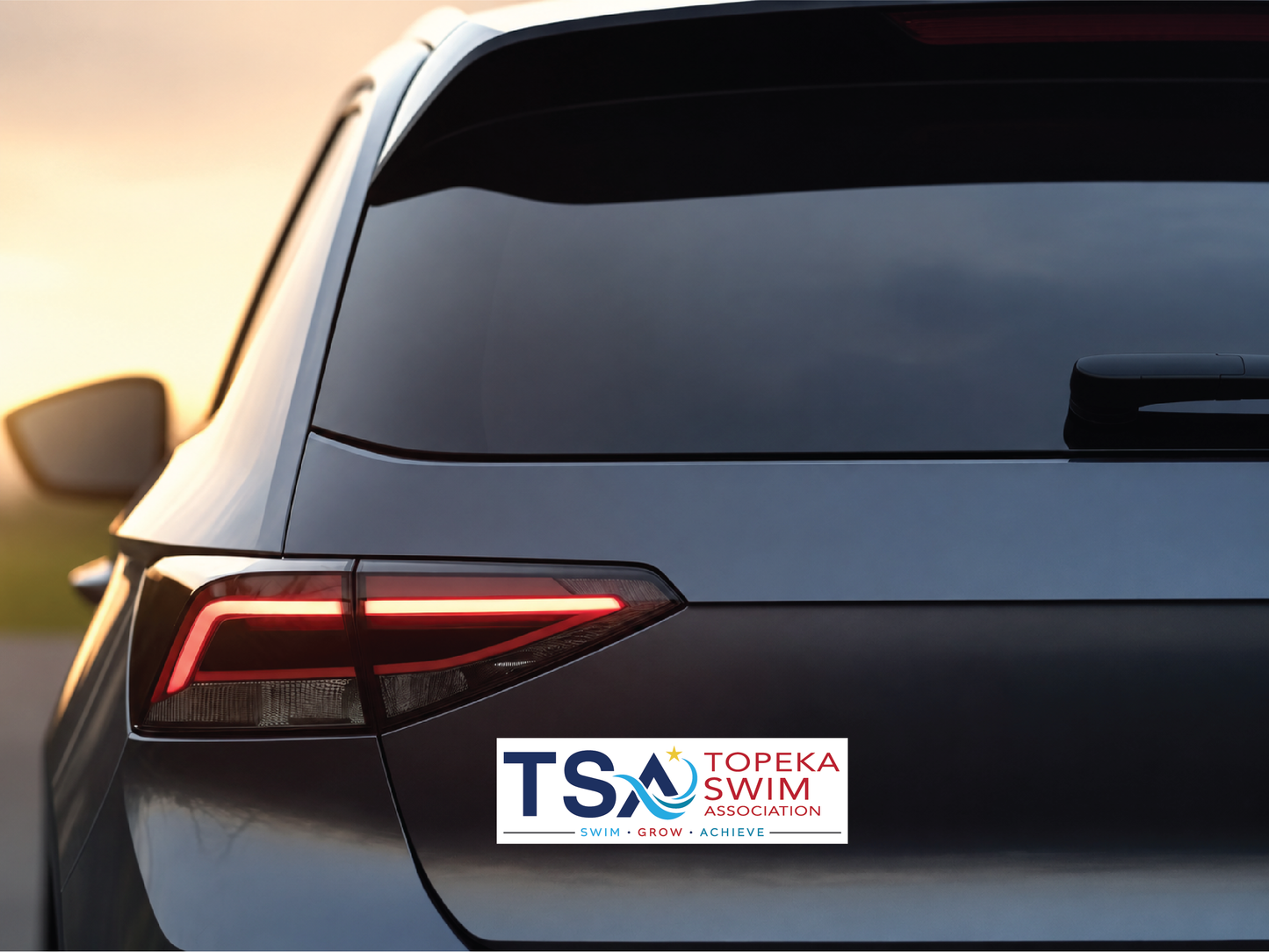 TSA -  Vehicle Decals